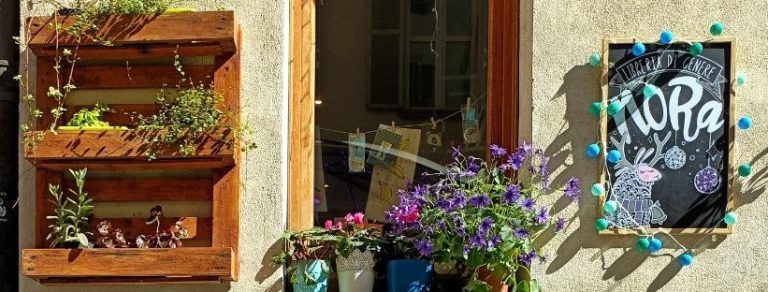 296199538 1904396076431782 7041968121945101950 n 768x292