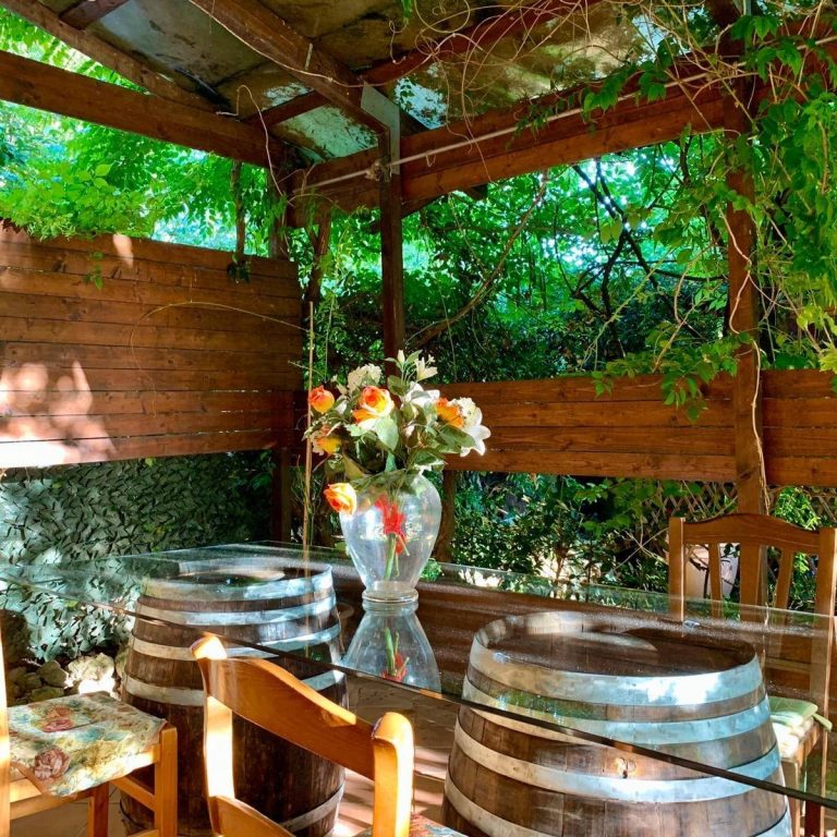 326257938 728034032064974 1257310848005831391 n 768x768